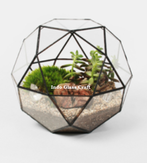 TR 008008 Terrarium