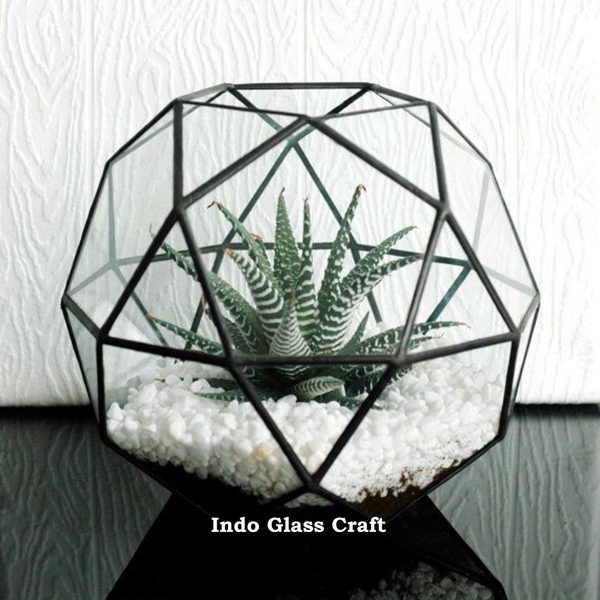 TR 008008 Terrarium